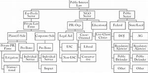 Organizational Chart Of The Public Interest Law Industry Download