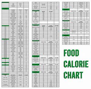 Calorie Counter Chart Printable Free Printable Food Calorie Chart