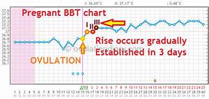 Why Is Bbt Rising After Ovulation Charts Ovulationdiary Com