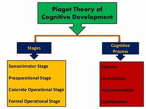 Jean Piaget 39 S Theory Of Cognitive Development
