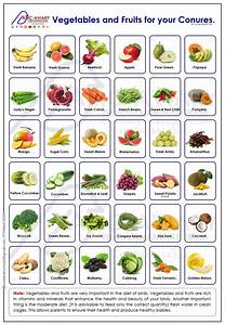 An Image Of Vegetables And Fruits For Your Conurees Poster With The