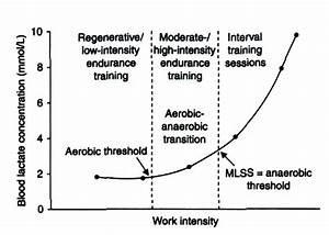 An Introduction To Lactate Threshold Tailor Made Coaching