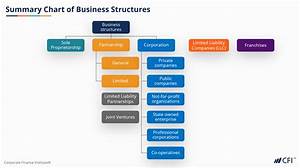 Business Structure Free Course Cfi