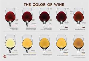 Wine Colour Chart A Guide To Age And Body
