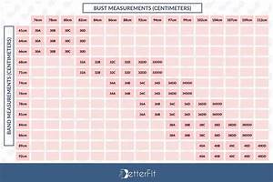 Us Bra Size Chart In Inches And Centimeters 08 2023