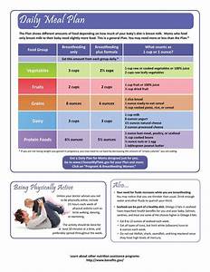 The Daily Meal Plan Is Shown In Blue And Pink With An Image Of A Woman