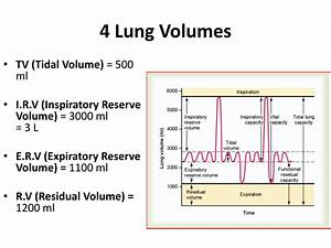 Ppt Lung Volumes Lung Capacities Powerpoint Presentation Free