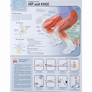 Strengthening The Hip And Knee Chart Laminated W59508 Dgi 7852