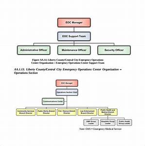 Free 9 Sample Hospital Organizational Chart Templates In Pdf Google
