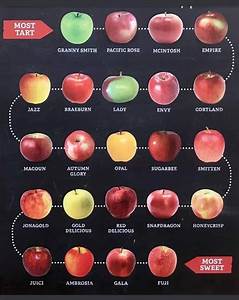Apples From Tart To Sweet Apple Chart Apple Varieties Fruit