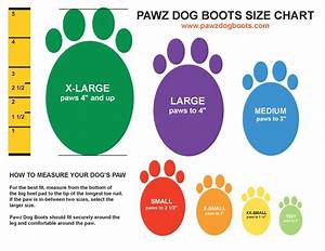 Pawz Dog Boots Review Maximum Winter Protection