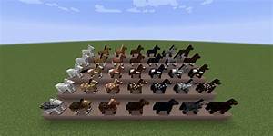 All Colorations Of Horses R Minecraft