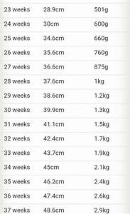Baby Weight And Size Chart During Pregnancy Best Picture Of Chart