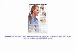 Doc Temporomandibular Joint Tmj Anatomical Chart