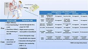 Direct Anticoagulants In Patients On Chronic Dialysis And