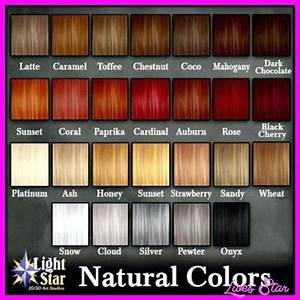 Different Shades Of Red Hair Color Chart Portlandyearroundgarden