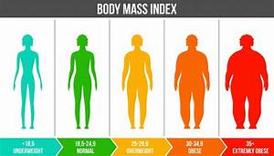 Body Composition Why It S Important In Weight Loss And Muscle Building