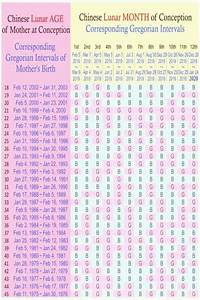 Chinese Gender Calendar 2019 Printable Word Searches