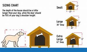 Dog House Sizing Guide The Details You Need To Know With Infographic
