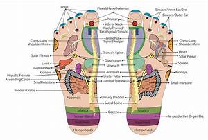 Foot Pressure Points Reflexology