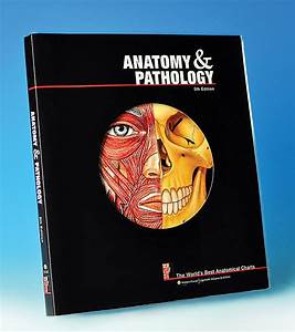 The World 39 S Best Anatomical Charts Book