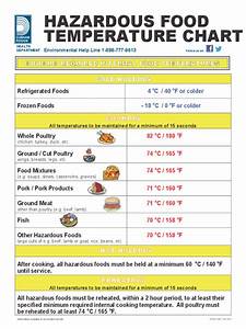 Food Temperature Chart Template 2 Free Templates In Pdf Word Excel