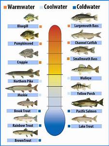 Tropical Fish Water Temperature Chart