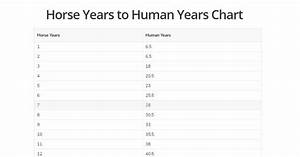 Horse Years To Human Years Chart