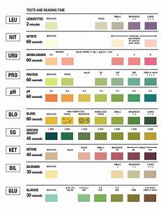 Home Urinalysis Test Color Chart And Explanations Artofit
