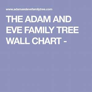 The Adam And Family Tree Wall Chart Family Tree Wall Family