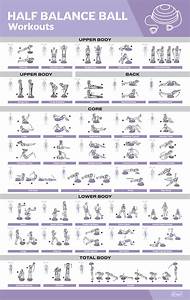 16 Pack Laminated Large Workout Poster Set Perfect Workout Posters