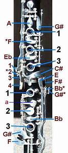 Oehler And Albert System Clarinet Key Diagram