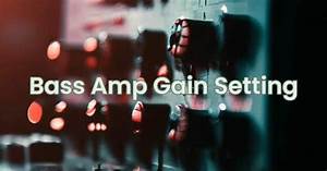 Bass Amp Gain Setting All For Turntables