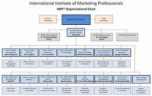 Organizational Chart Iimp International Institute Of Marketing