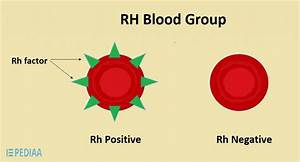 Have You Got This Blood Type Then You Could Be Descended From Aliens