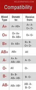 Blood Type Chart With Rh Blood Type Relation