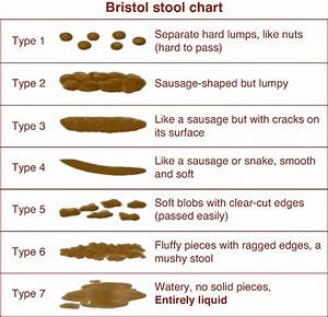 Hey There R Aficionados I Present To You Quot The Bristol Stool