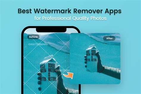 video watermark removal app