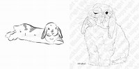 Holland Lop Bunny Clip Art Black and White