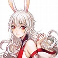 Albino Bunny Anime Girl Wallpaper