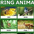 Animals in Spring for Kids