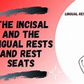 Anterior Lingual Rest Seat
