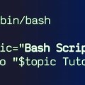 Scripting Tutorial