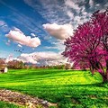 Spring Scenery HD