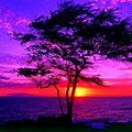 Beautiful Sunset HD