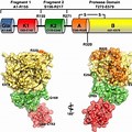 Crystal Structure