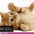 Cute Windows 7 Themes