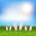 Easter Bunny in the Grass with Green Bubble Background