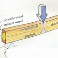 Test Limits for Wood