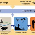 Diagram Ecosystem